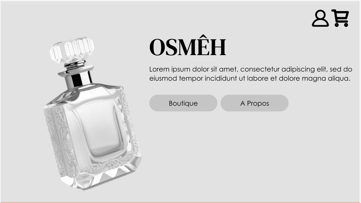 Wireframe d'un site pour parfum